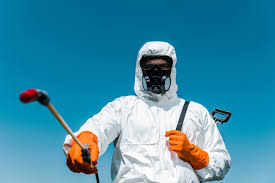 Best Residential Pest Control  in Diboll, TX